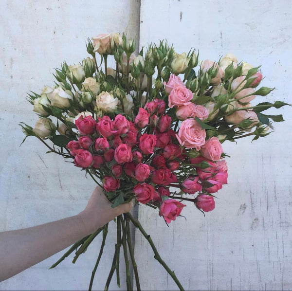 Roses  - with vase